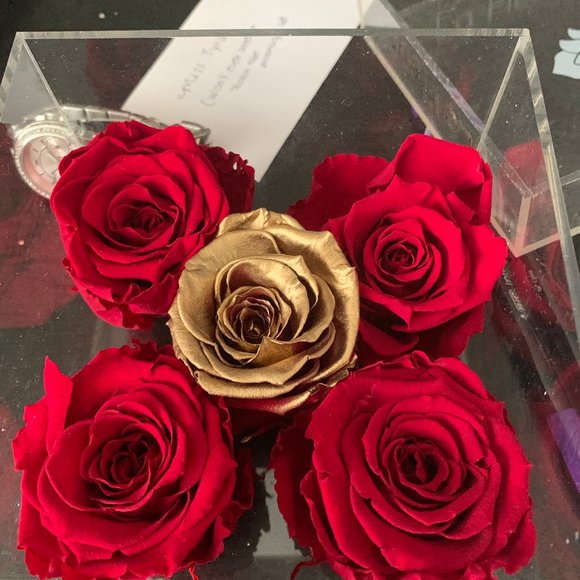 La Fleur everlasting roses (3-5 yrs) - Picture 1 of 5